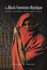 Book cover of The Black Feminine Mystique by William E. Waters