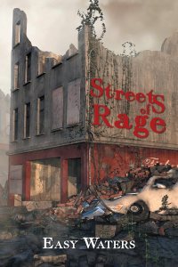 Book cover of Streets of Rage by Easy Waters