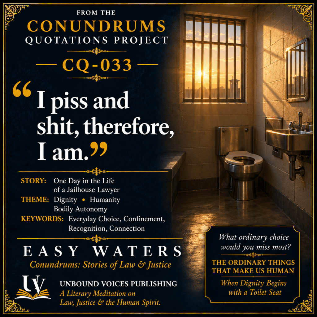 CQ-033 quotation graphic: I piss and shit, therefore, I am. A toilet with a seat and a metal sink in a prison bathroom illuminated by sunrise, framed in navy and gold.